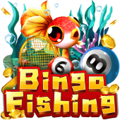 Cau Ca Bingo - mv88 plus ban ca